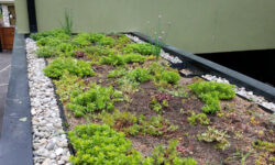 Rooftop Garden Edging
