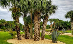 Gravel Landscape Divider