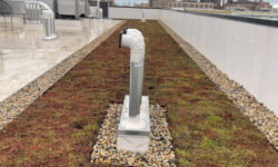 Extensive Green Roof Project