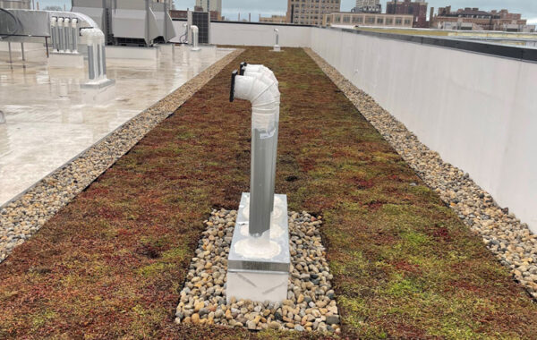 Extensive Green Roof Project
