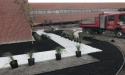 Emerson Climate Project