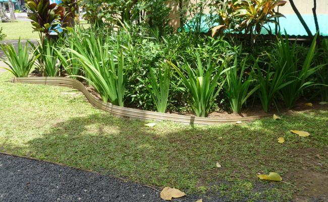 lawn-edging-mistakes027